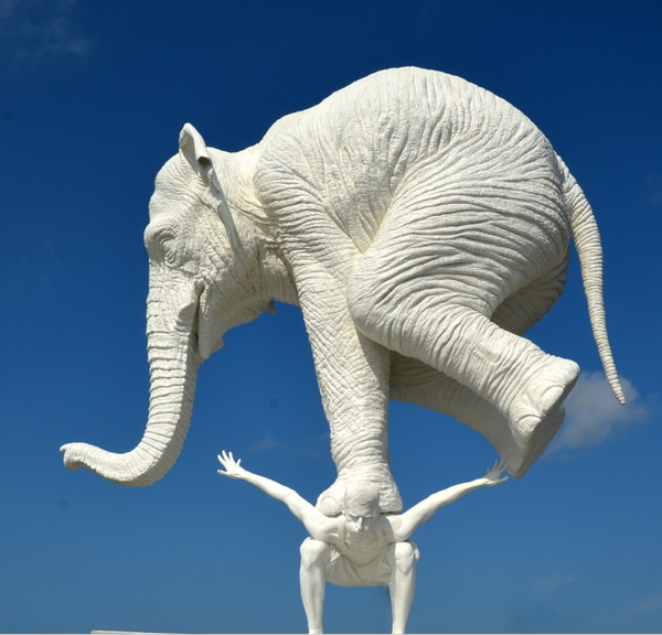 Elefant Mensch Schwere DRuck